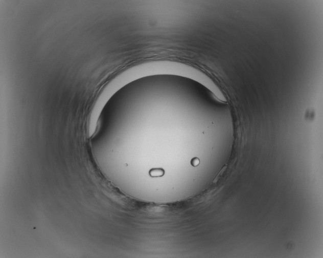 X0000112200325200909041323