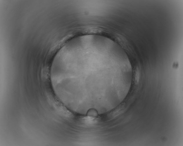 X0000112200326200909041323