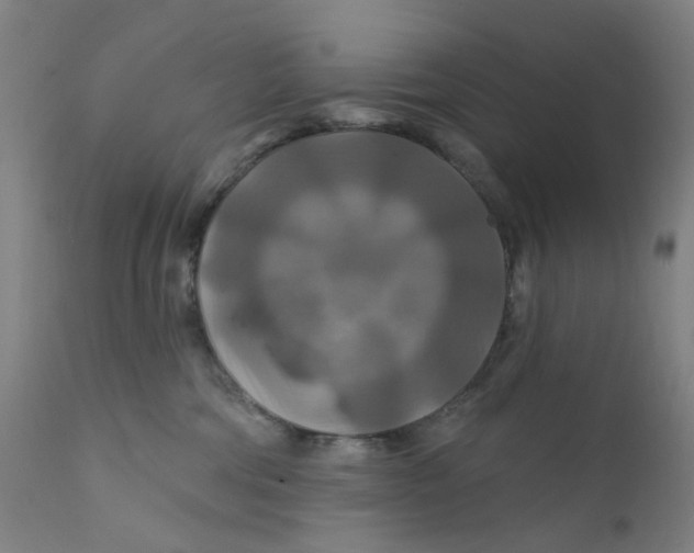 X0000112200330200909041323