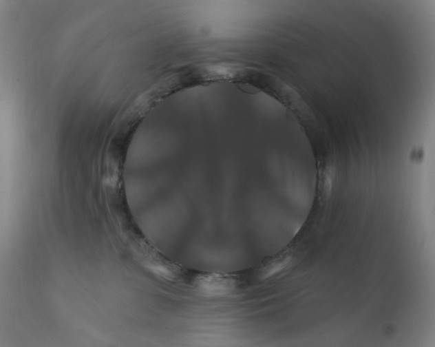 X0000112200331200909041323