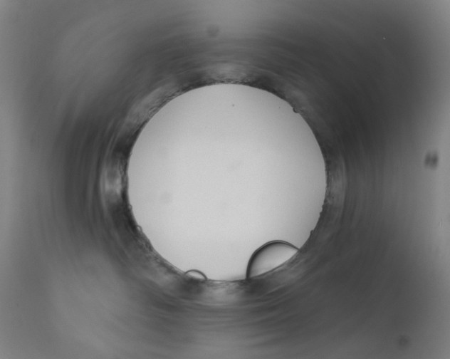 X0000112200334200909041323