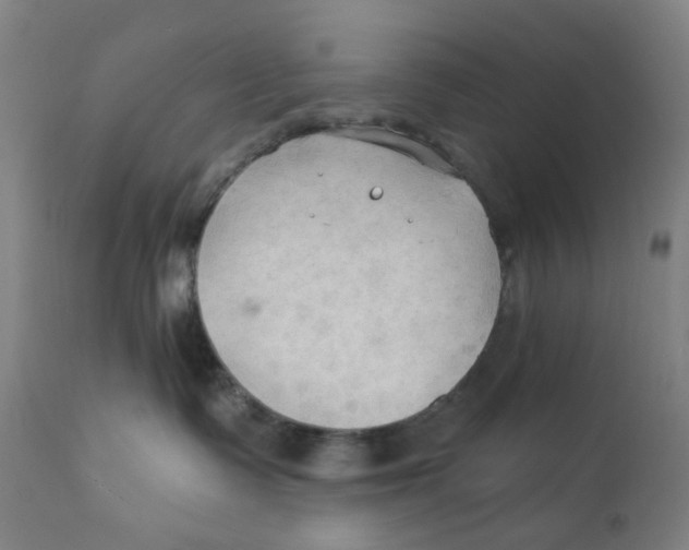 X0000112200335200909041323