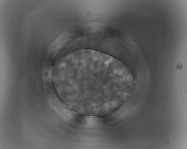 X0000112200336200909041323