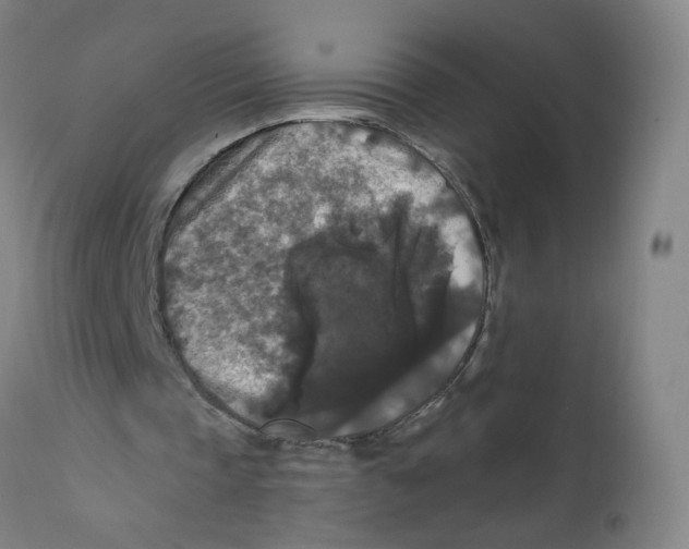 X0000112200337200909041322