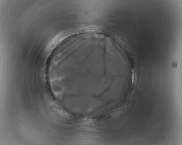 X0000112200339200909041322