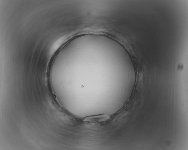 X0000112200340200909041322