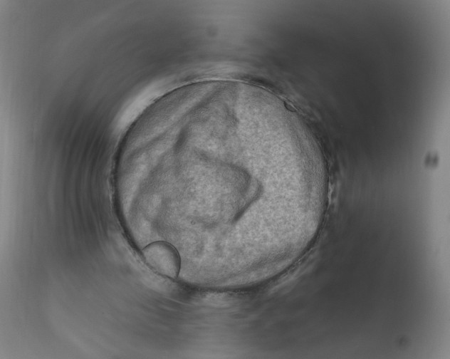 X0000112200341200909041322