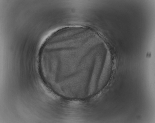 X0000112200342200909041322