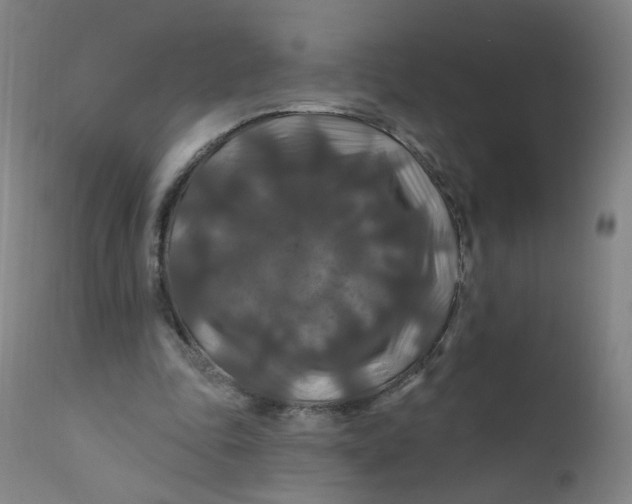 X0000112200343200909041322
