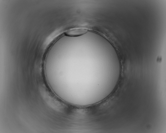 X0000112200344200909041322