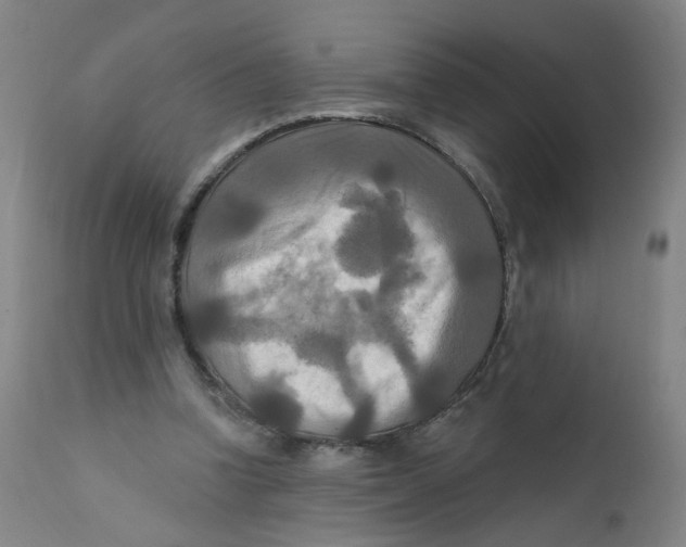 X0000112200346200909041322