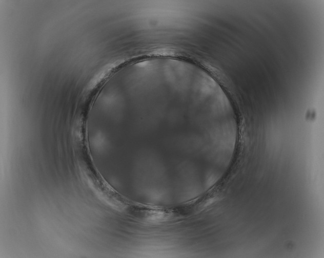 X0000112200347200909041322