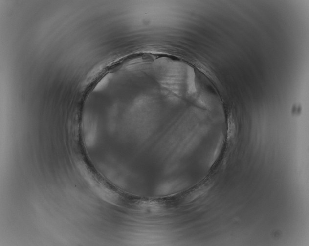 X0000112200349200909041322
