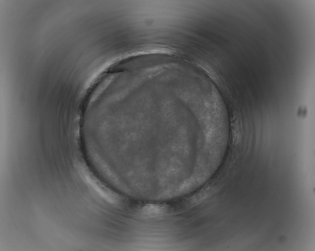 X0000112200350200909041322