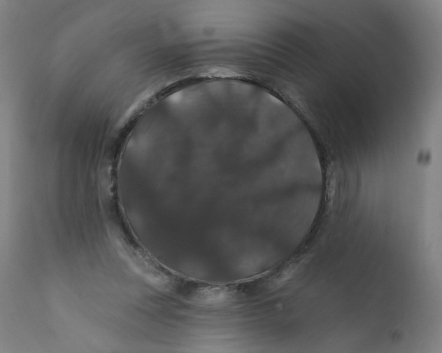 X0000112200351200909041322