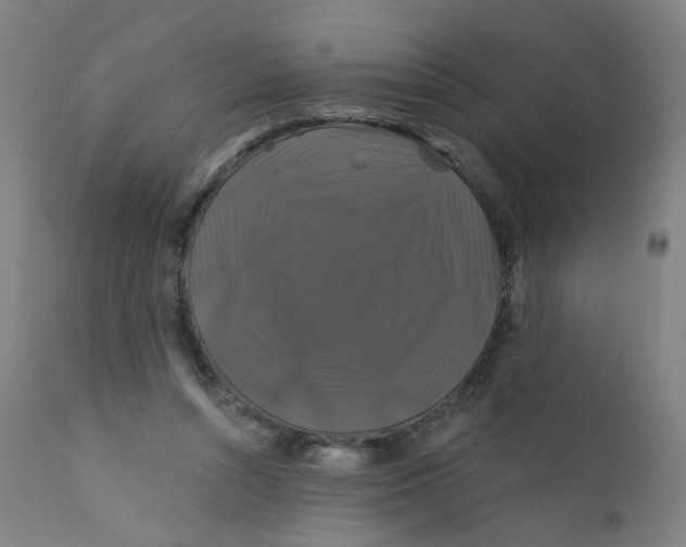 X0000112200352200909041322