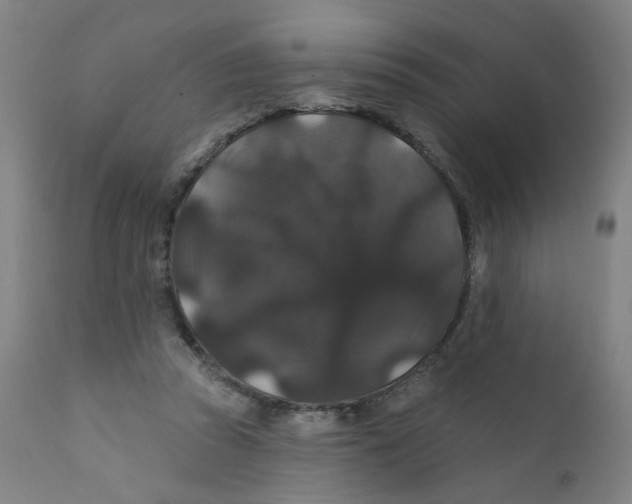 X0000112200353200909041322