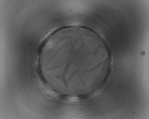 X0000112200355200909041322