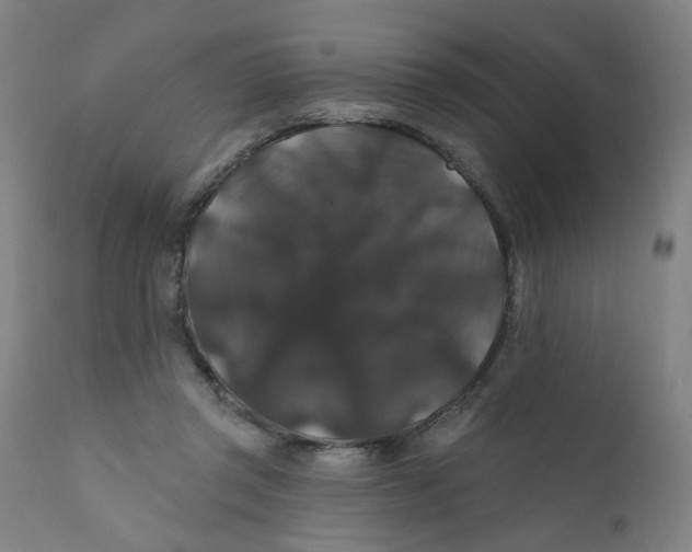 X0000112200357200909041322