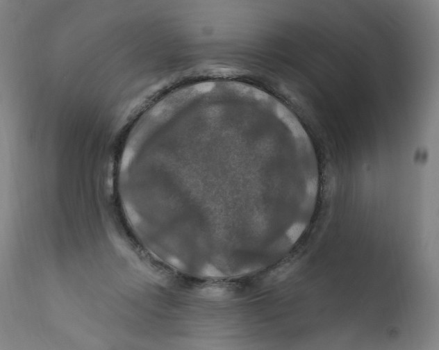 X0000112200358200909041322