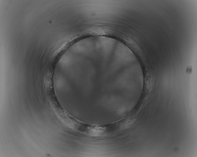 X0000112200359200909041322