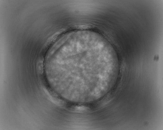 X0000112200360200909041322