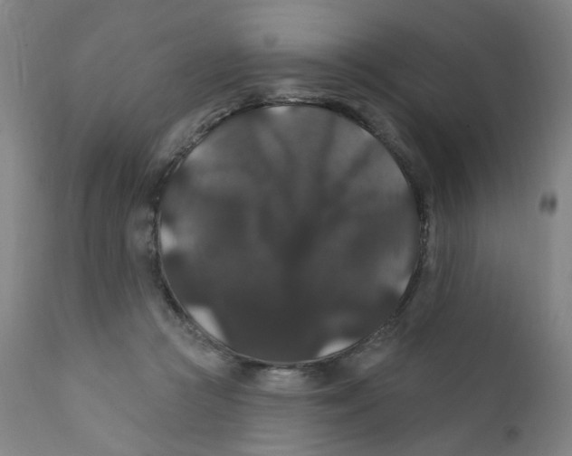 X0000112200361200909041322