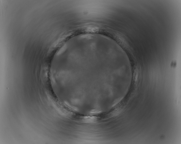 X0000112200363200909041322