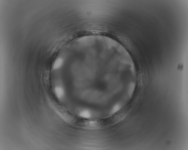 X0000112200365200909041323