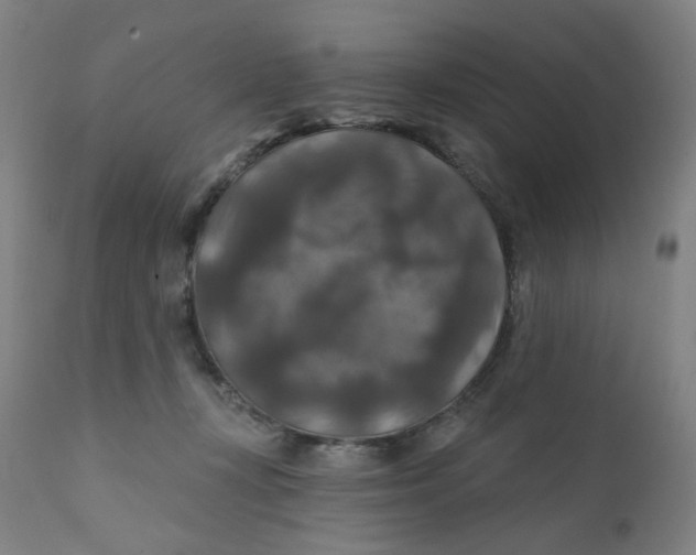 X0000112200367200909041323