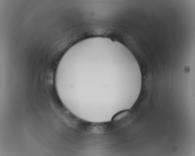 X0000112200368200909041323