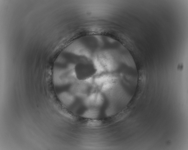 X0000112200369200909041323