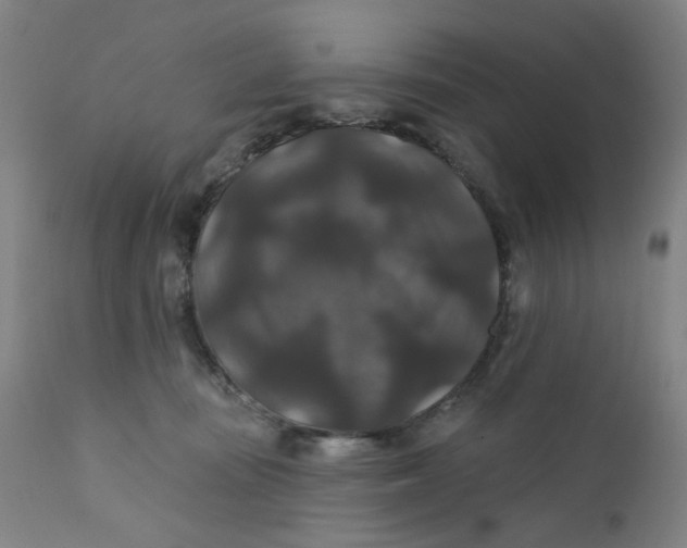 X0000112200371200909041323