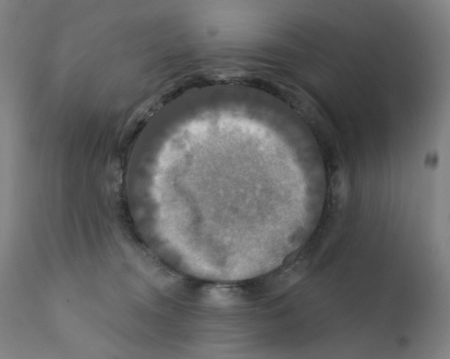 X0000112200372200909041323