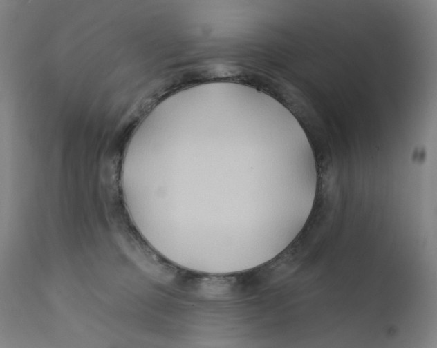 X0000112200373200909041323