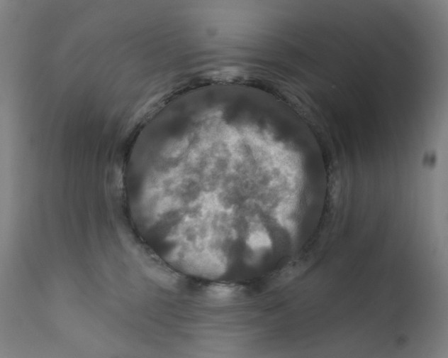 X0000112200375200909041323