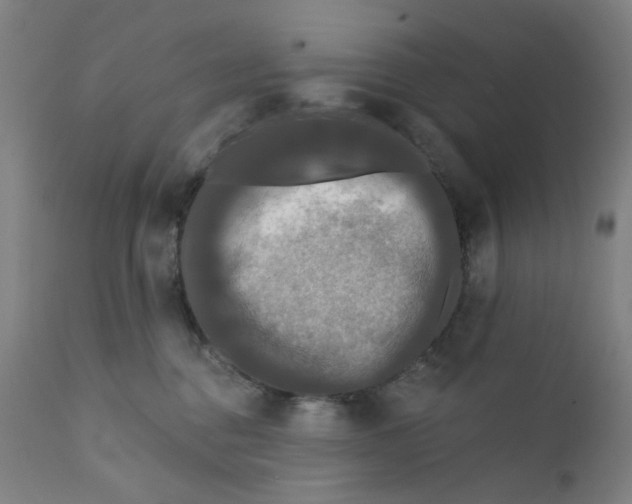 X0000112200376200909041323