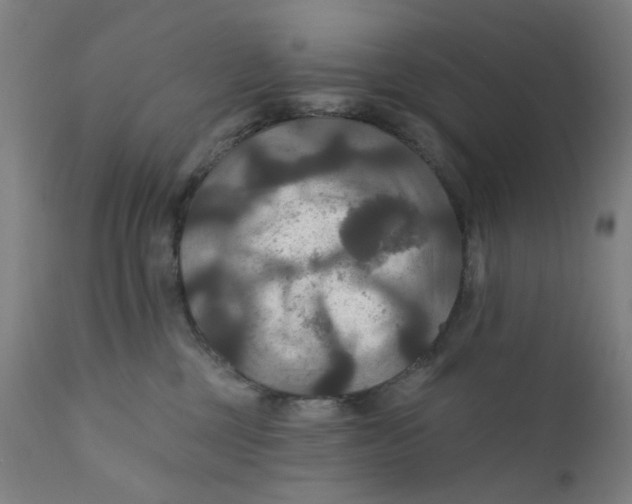 X0000112200377200909041323