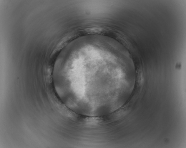 X0000112200378200909041323