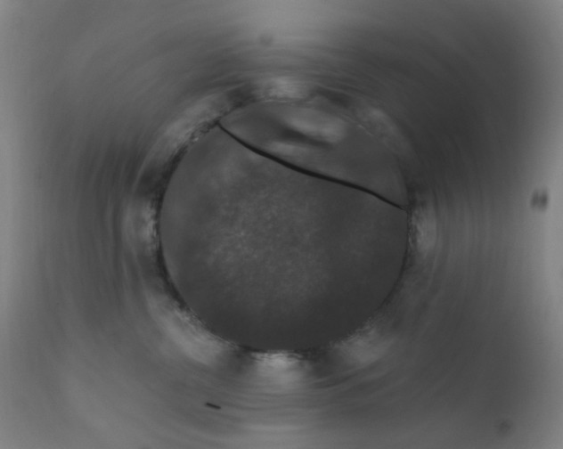 X0000112200380200909041323