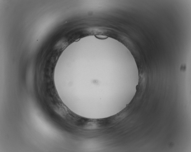 X0000112200381200909041323