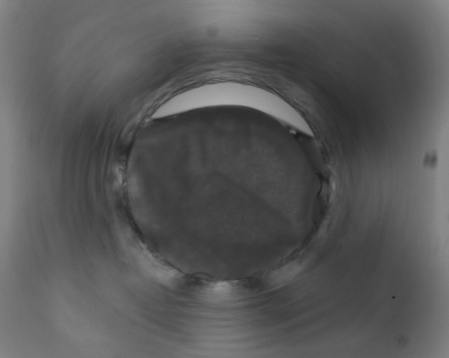 X0000112200382200909041323