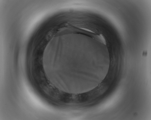 X0000112200383200909041323