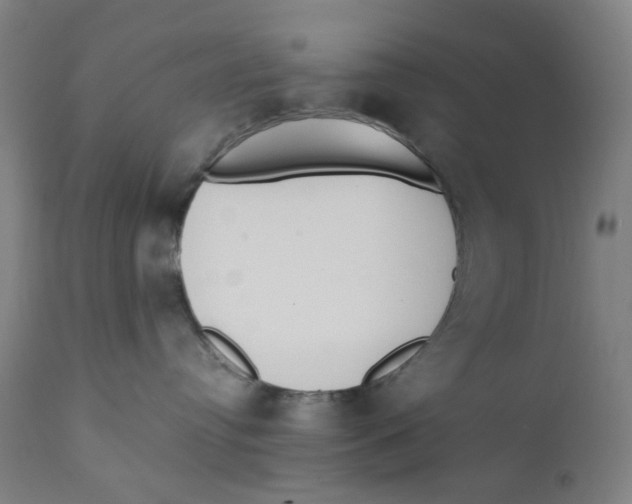 X0000112200384200909041323