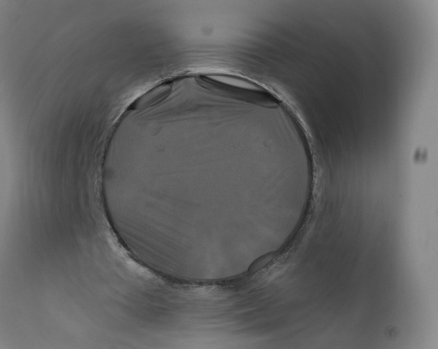 X0000112200385200909041322