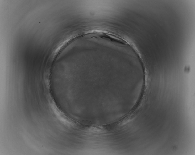 X0000112200386200909041322