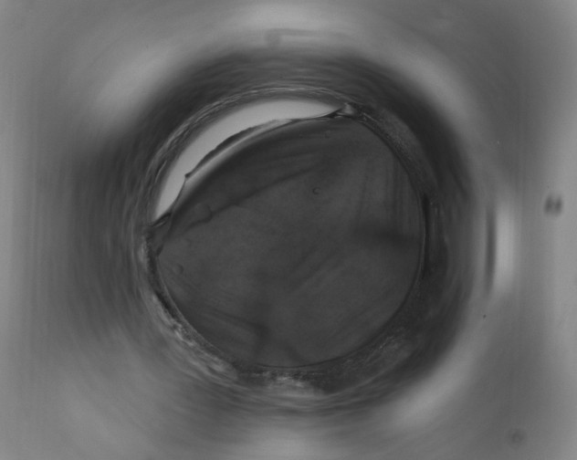 X0000112200387200909041322