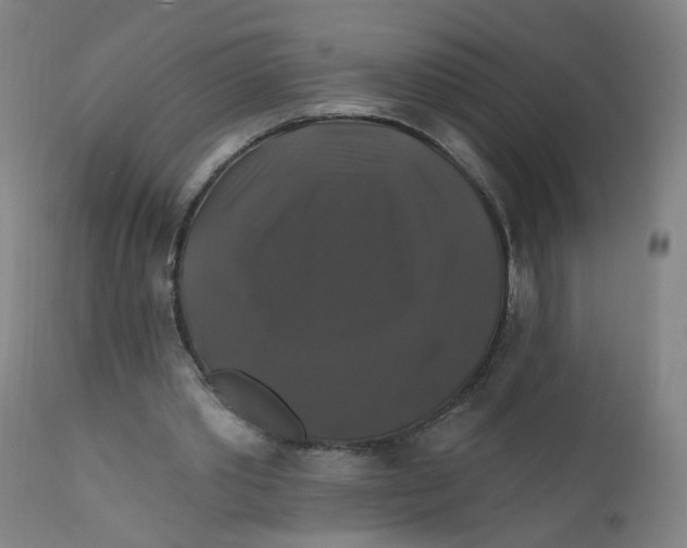 X0000112200389200909041322