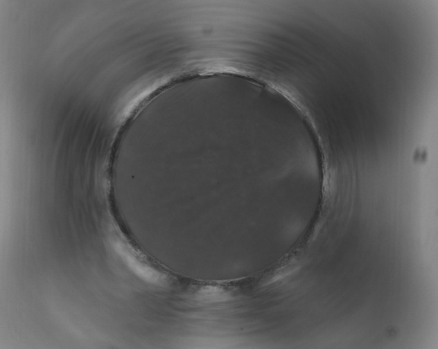 X0000112200390200909041322