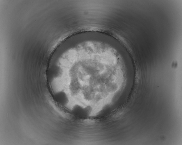 X0000112200394200909041322